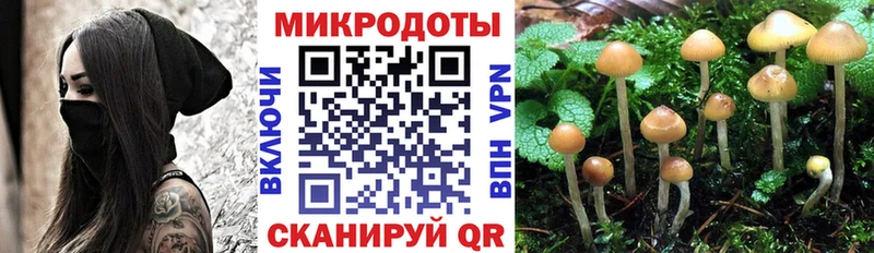 Псилоцибиновые грибы Magic Shrooms  где купить наркотик  Новый Оскол 